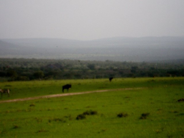 Kenia 408
